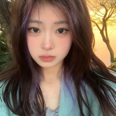 鸣鸿传